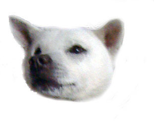 2017123122170000-1.jpg