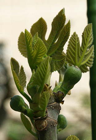 P1013129-0325.jpg