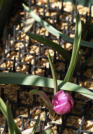 P1013132-0325.jpg