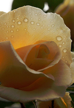 P1013155-0428.jpg