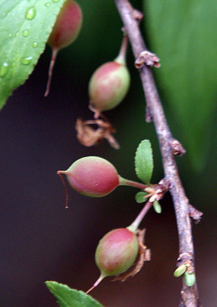 P1013162-0428.jpg