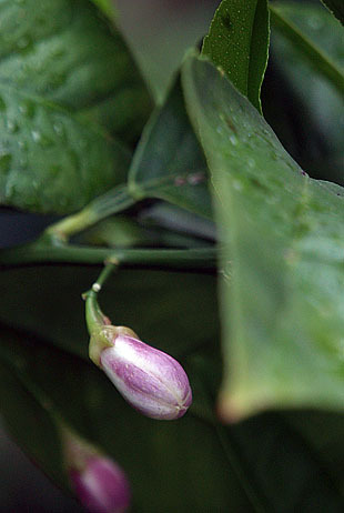 P1013164-0428.jpg
