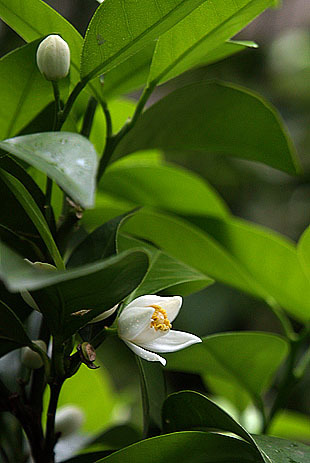 P1013171-0428.jpg