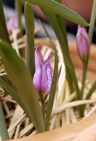 _1200257-0318.jpg