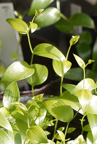 _1300209-1121.jpg