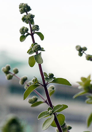 _1310170-0123.jpg