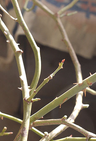 _1340985-0121.jpg