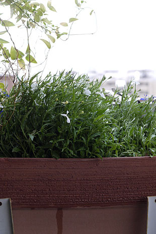 _1360018-0511.jpg