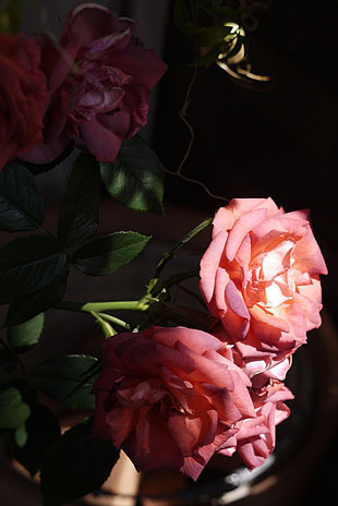 _1360095-0523.jpg