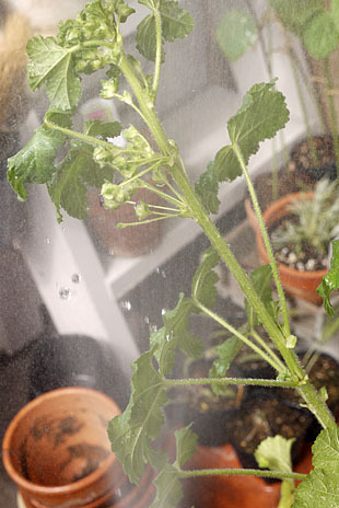 _1360320-0626.jpg