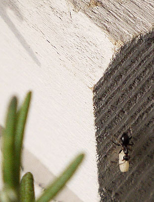 _1360382-0701.jpg