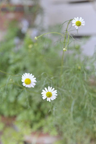 _DSH4734-0424.jpg