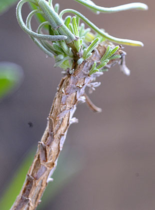 _DSH4768-0430.jpg