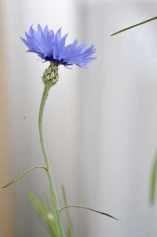 _DSH4777-0430.jpg