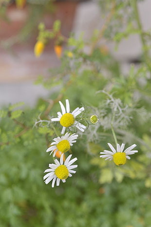 _DSH4858-0511.jpg