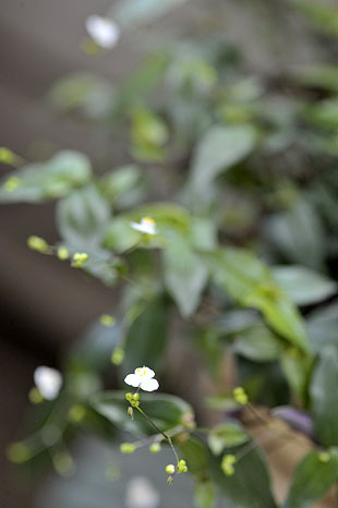_DSH4902-0513.jpg