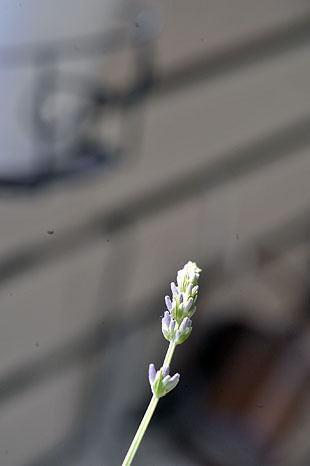 _DSH5001-0531.jpg