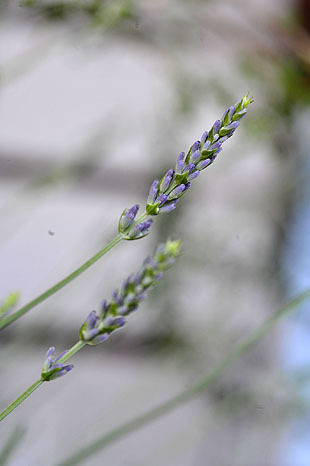 _DSH5080-0604.jpg