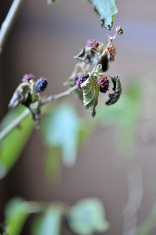 _DSH6291-0606.jpg